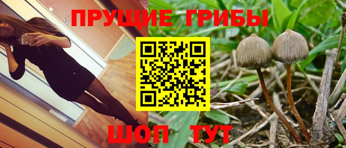 Псилоцибиновые грибы ЛСД  Вход с VPN  Видное 