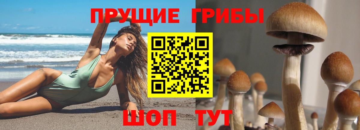 Псилоцибиновые грибы Magic Shrooms Видное